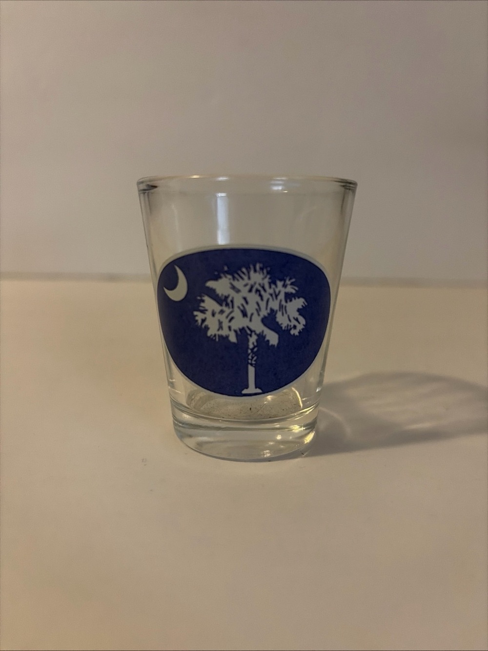 South Carolina Souvenir Shot Glass